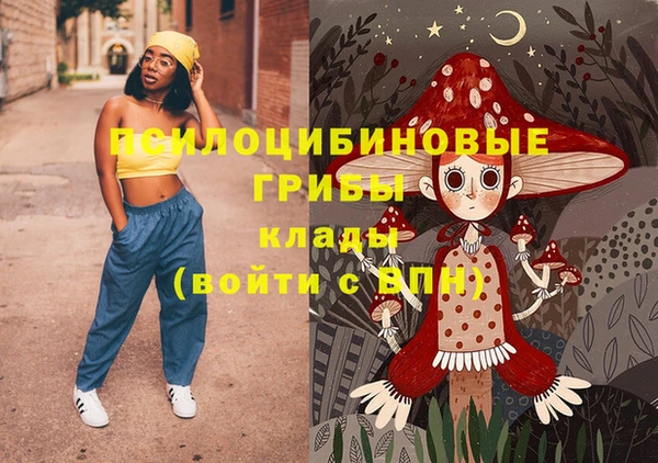 ECSTASY Горнозаводск