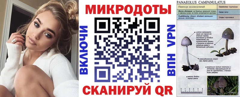 Псилоцибиновые грибы MAGIC MUSHROOMS  цены   Меленки 